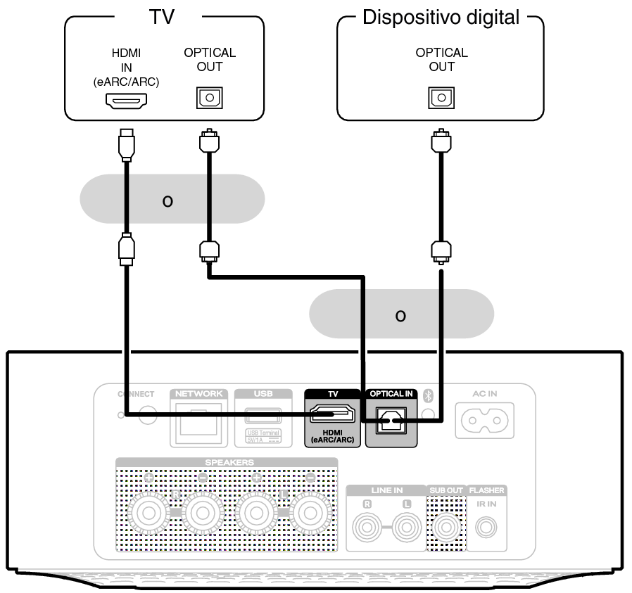 Conne Digital M1